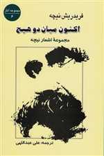 اکنون میان دو هیچ (مجموعه اشعار نیچه)،(شمیز،رقعی،جامی)